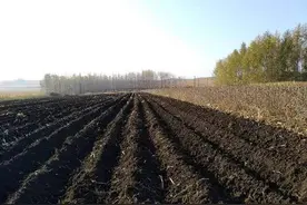 世界耕地主要分布在哪些地区？图片