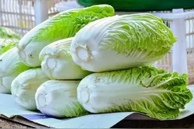 喷洒过甲醛的白菜，一般会有4个共性，提醒家人购买时需注意图片
