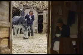 瘸腿算命先生，花130块娶聋哑傻“剩女”，他们的故事，我不敢看图片