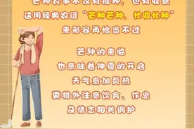 二十四节气之『芒种』手帐来了！图片