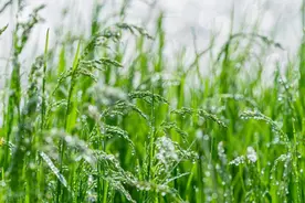 让人讨厌的4种微信聊天方式，希望你一个也没有图片