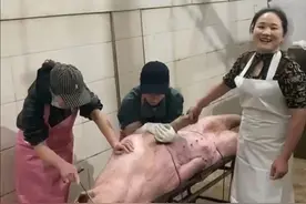 杀猪女屠夫月入3万，买房买奔驰，为何农村屠夫多不能长寿，咋了图片