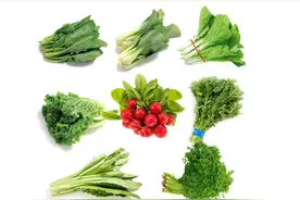 蔬菜的分类及品种有哪些？蔬菜食用菌面面观图片