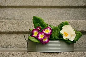 如何做婆婆，是门大艺术图片