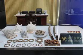 你不保护我不保护谁来保护图片