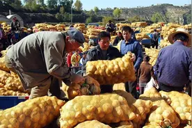 全国哪的土豆最好吃？经过对比，这4个产地最为出名，有你家乡吗图片