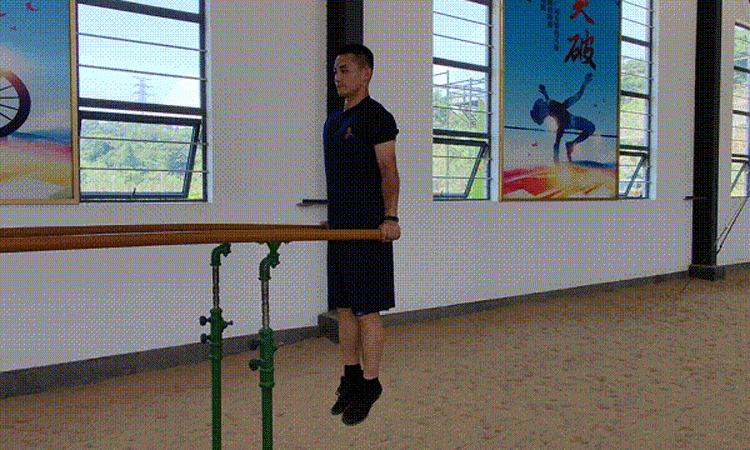 健身锻炼胸肌有多少器材可用？