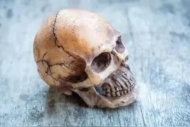 邯郸三个未成年残忍虐杀同学，为什么校园暴力层出不穷？图片