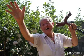 山西老人历经30年，研发出桃木原木手杖制作技术，免费招收徒弟图片