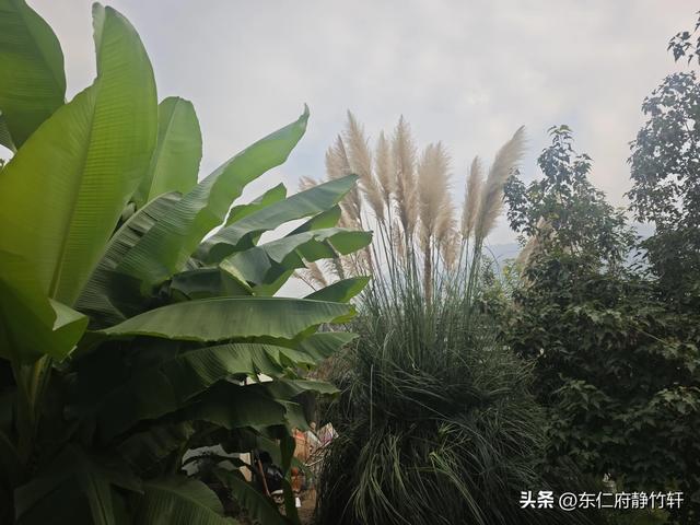 相约陕西省西安市鄠邑区蒋村街道白龙村甘河东岸一念等某人民宿