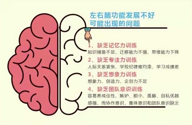 左右脑的功能是什么?