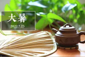 “大暑多吃醋，苦夏也舒服”，这4菜一汤要常吃，清爽解腻不上火图片