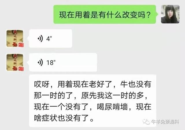 牛羊吃毛、吃土、喝尿，有人给喂头发？他们却用这个统统解决了