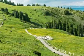 天津出发，7日1350公里，一城一景，清凉舒适小众自驾行程图片