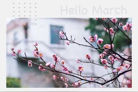 大师书单 | 3月特辑：随“管理学的先知”穿越世纪图片