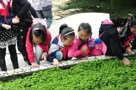 村支书含泪喊话：大学生别来了，孩子折腾不起！大学生支教咋回事图片