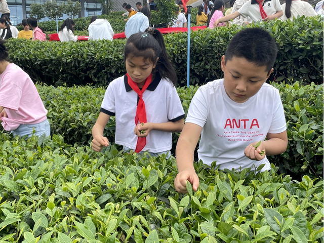 四川省民生研究会新媒体中心-官网