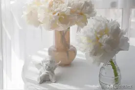 2022芍药季终于来了！都有哪些神仙品种？这篇都给你整理好了图片