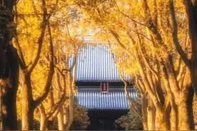 什么叫度？图片