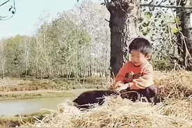 民间故事：九龙水图片