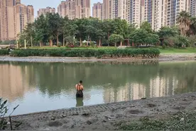 角美湿地公园：在这里捕鱼，合适吗？图片