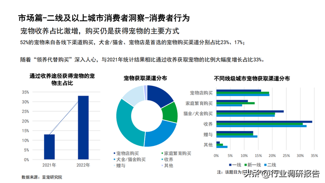 2022���й�������ҵ��չ���棨�����ߡ������ŵꡢ�г�����