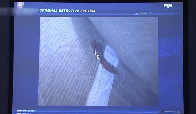 刑侦剧连载75：研究所所长惨死家中，一个发卡竟成破案关键