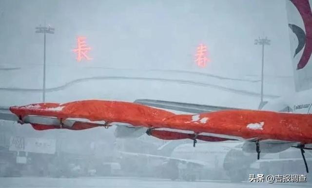 直击初雪！长春人用静与动的结合，写下一段段温暖感人的故事