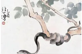 农村迷信灵异之家蛇图片