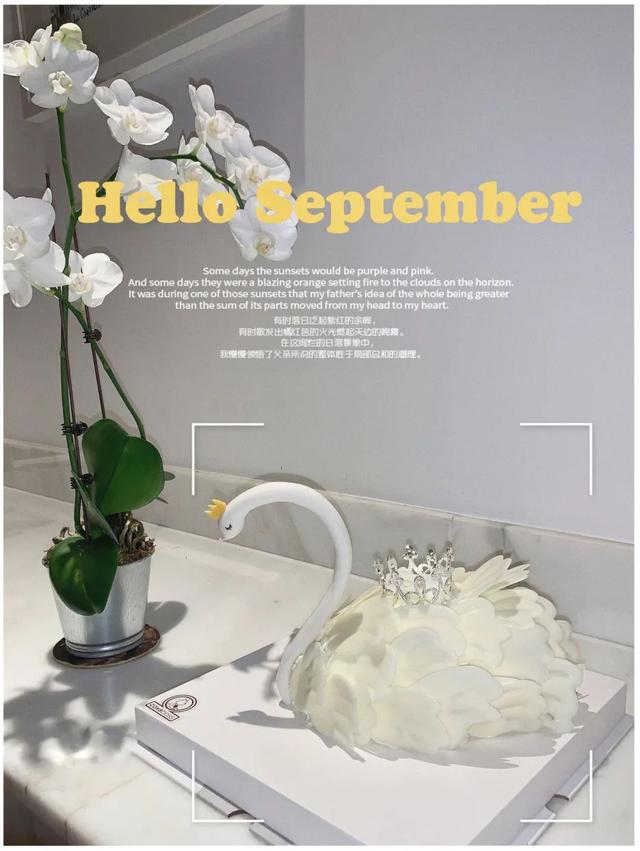 ��������������Ȧ����쵰�⣬����˵���