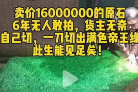 标价16000000的原石6年无人敢拍，一刀切出满色帝王绿图片