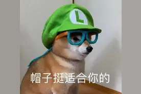 沙雕可爱表情包/老娘可不是吃素的图片