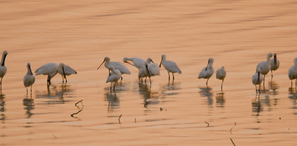 火热报名中！超好玩的亲子活动上线啦