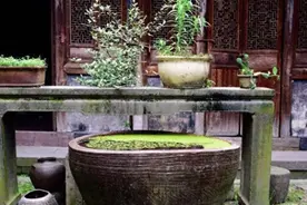 “争取公正！三招让你化解父母偏心问题”图片