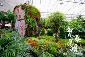 人造假山一平怎么计算？图片