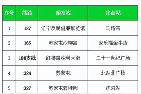 停运60天！终于恢复图片