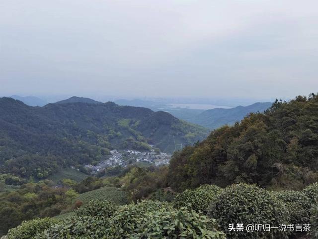 每天1分钟学习茶知识（21）购买西湖龙井时容易入的坑