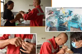 中国和尚火到国外，只因他一天救了200只猫狗图片