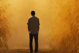 杂交水稻之父们（一） | kiwiFM图片