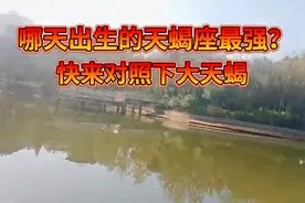 十二星座，天蝎座哪一天出生的天蝎座最强？过来对照一下就好！图片