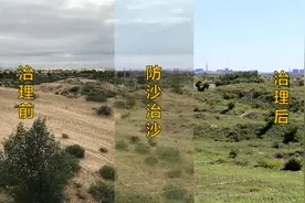 世界防治荒漠化与干旱日｜为地球织一件美丽的外衣图片