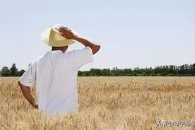 王福重：只有农民彻底放弃土地，国家才能富强图片