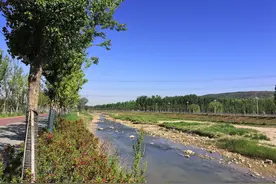西安新修浐河河堤路风景很美 可惜一些路段经常成为钓鱼“停车场”图片