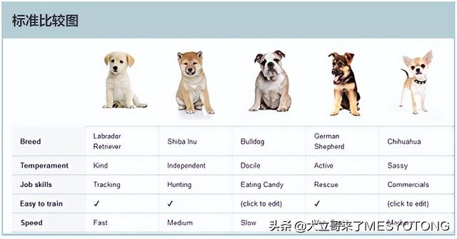 ����ѷ��������ֺ��õı���������90%���˶�������