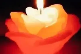 永别了，我的阿蓝，一路走好，愿天堂没有病痛，人世再无分离图片