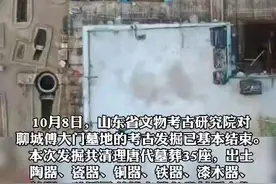 山东聊城傅大门唐代墓地发掘35座墓葬图片
