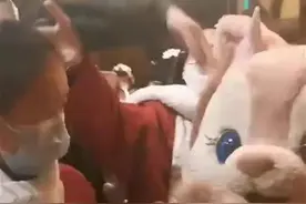 今评弹 | 玲娜贝儿遭遇“摸头杀”，没有可爱只有伤害图片