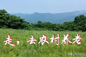 走，我们相约去农村养老图片