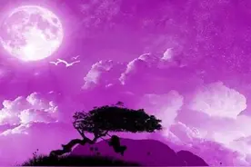 揭秘梦的真义图片