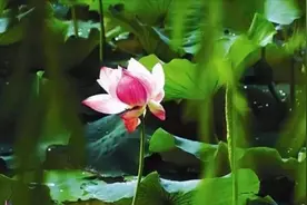 男人如此和你聊天，其实是想你了，别不懂图片